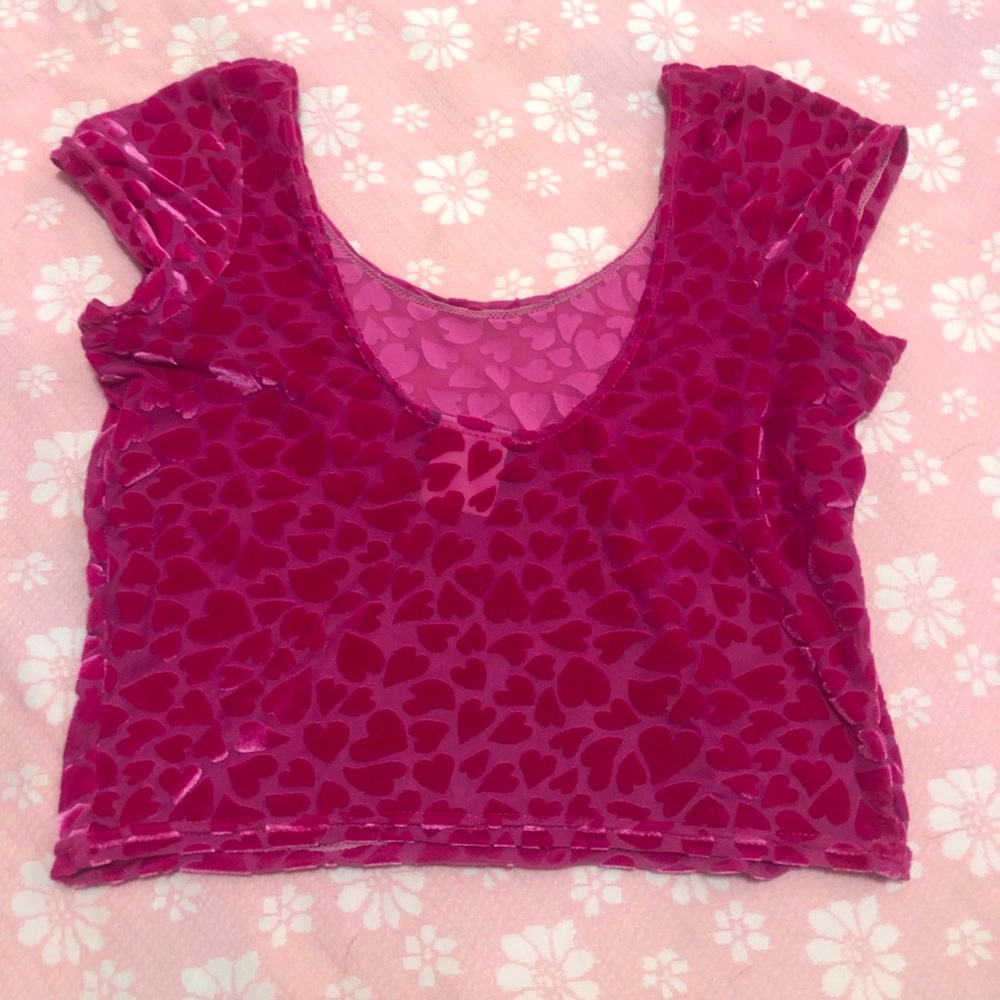 Blackmilk Velour Crop Top